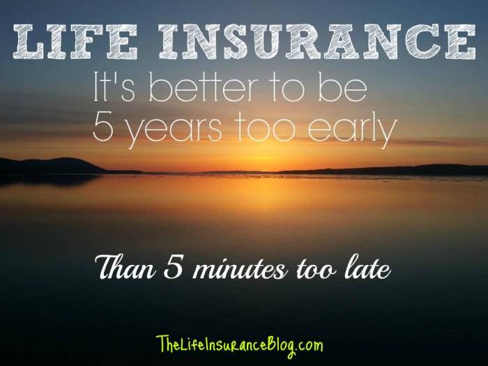 20 Life Insurance Quotes Pictures and Images | QuotesBae