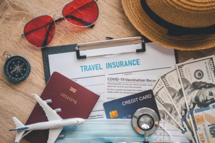 Beginners Guide To Travel Insurance: Everything You Need To Know To ...